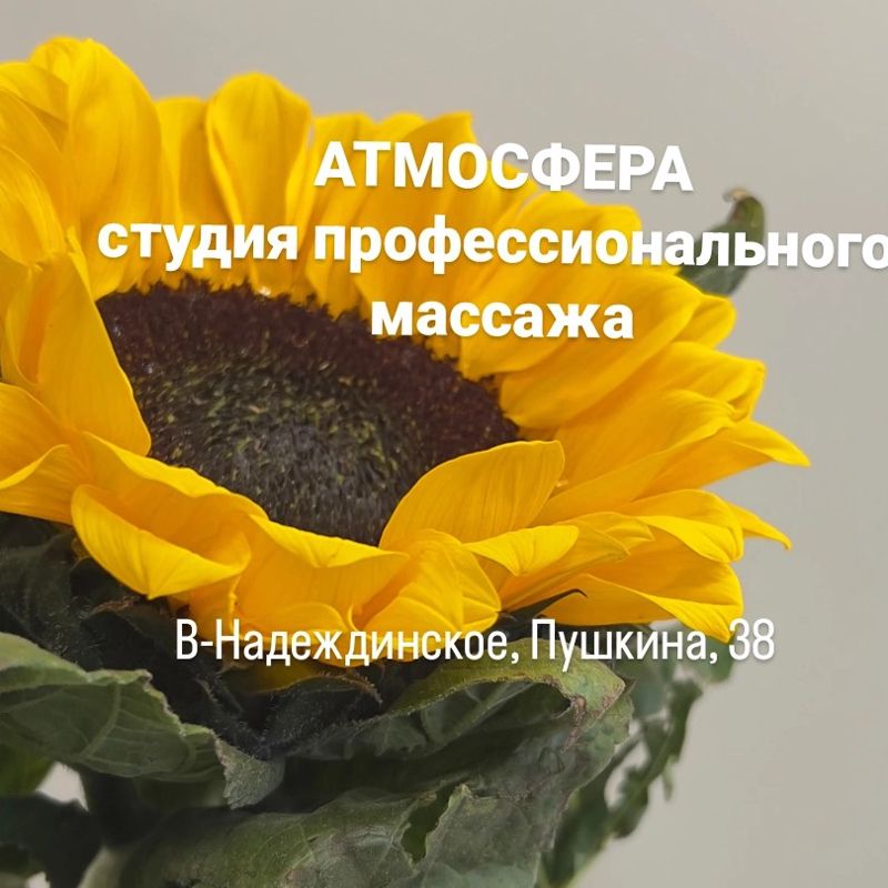 АТМОСФЕРА профессиональный массаж