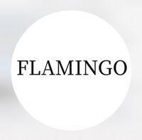 Flamingo studio — снятие ресниц в Перми