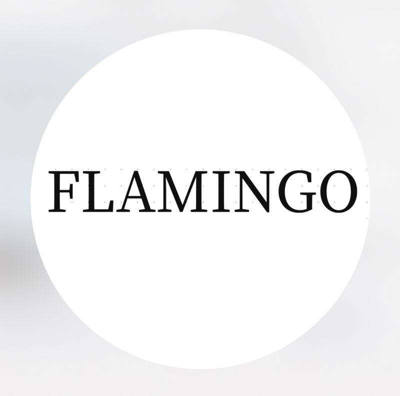 Flamingo studio