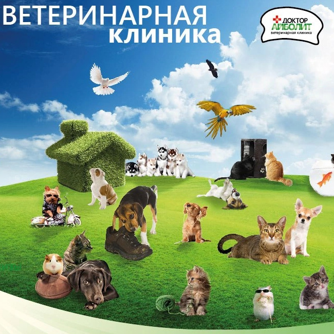 Ветеринарная клиника "Доктор Айболит"