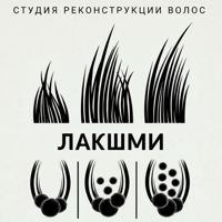 Студия реконструкции волос «ЛАКШМИ» — мытьё головы в городе Егорьевск
