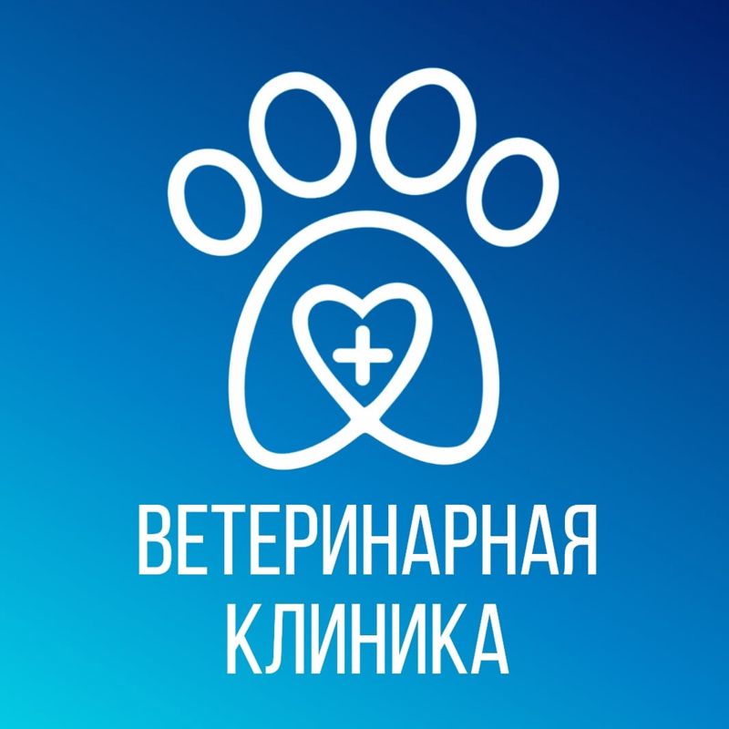 Четыре лапы