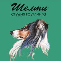 Шелти groom — груминг пуделя в Тюмени