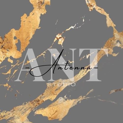 Ant studio