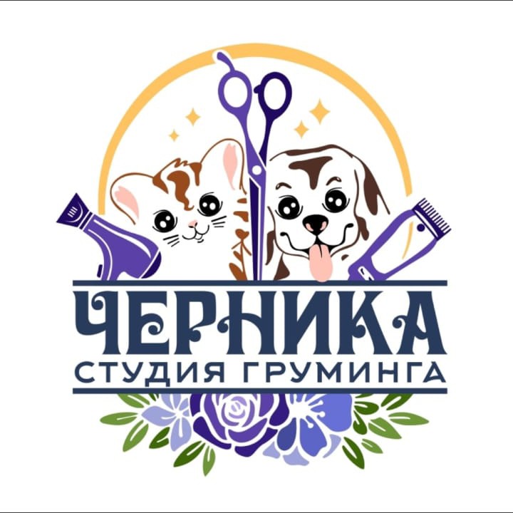 Студия груминга ЧЕРНИКА