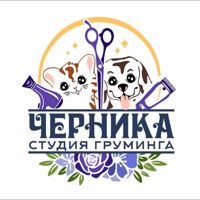 Студия груминга ЧЕРНИКА — сложное окрашивание в городе Таганрог