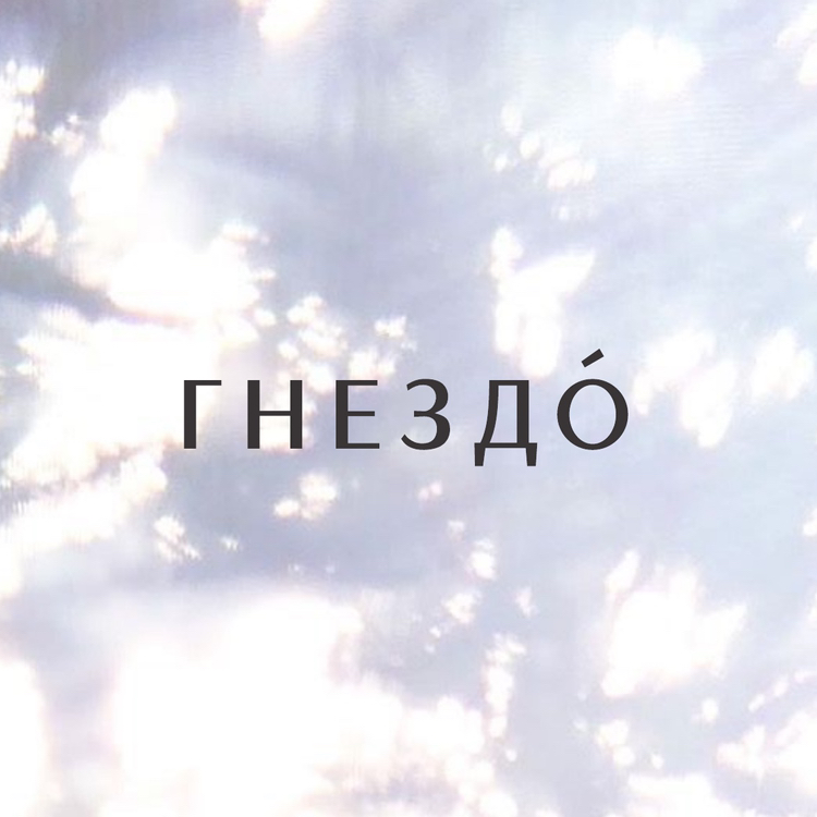 Гнездо