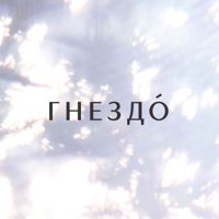 Гнездо — прическа в Твери