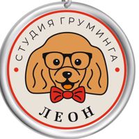 Студия груминга Леон — аренда в Брянске