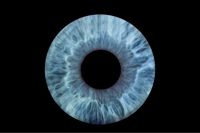 Cosmos.eyes — лазерная эпиляция (пакет линий) в Сыктывкаре