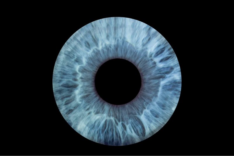 Cosmos.eyes