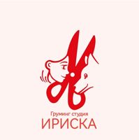 Груминг студия "Ириска" Тобольск — груминг пуделя в Тобольске