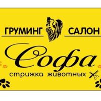 Груминг салон Софа — груминг пуделя в Новокузнецке