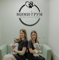 Мимигрум — аренда в Симферополе