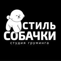 Студия груминга СТИЛЬ СОБАЧКИ ( DOGSTYLE) — груминг пуделя в Самаре