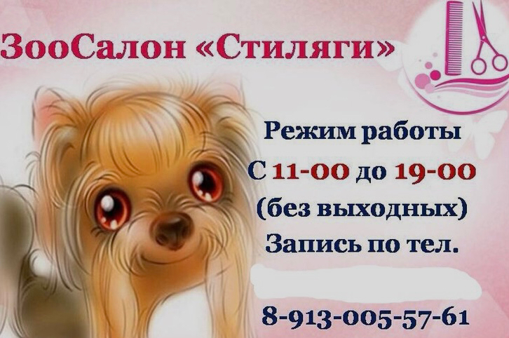 ЗооСалон "Стиляги"