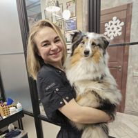 Людмила Акулова — груминг пуделя в Калининграде
