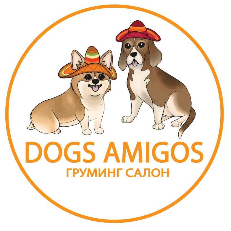 Dogs Amigos Groom