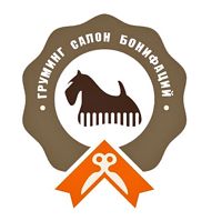 БОНИФАЦИЙ — массаж стоп в городе Истра