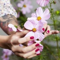 Космея | Nail master — холодный парафин в городе Новочеркасск