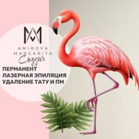 Фламинго — выход из чёрного в Мытищах