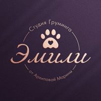 Студия Груминга Эмили — выход из чёрного в городе Новочебоксарск