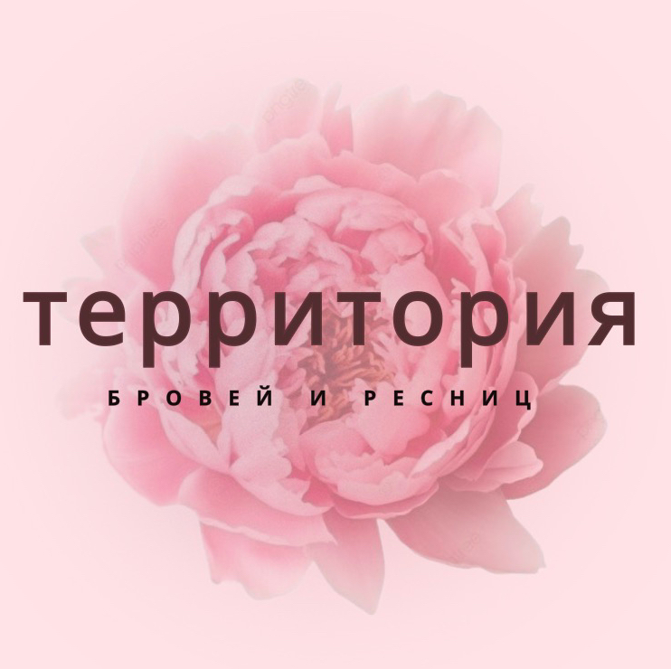 Территория бровей и ресниц/Обучение