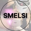 SMELSI Сеть студий эстетики лица и тела