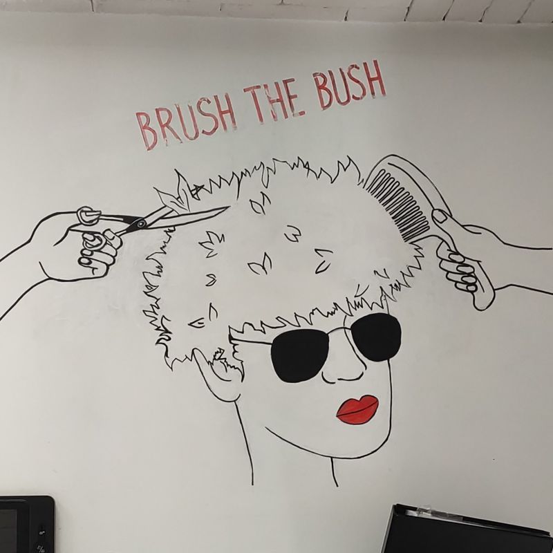 Brush the Bush