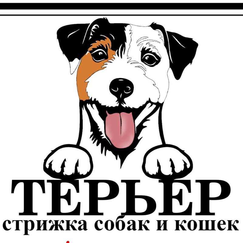 ТЕРЬЕР