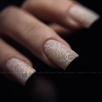 VD nail — укладка в городе Сертолово