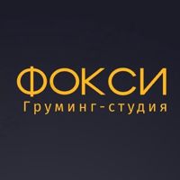 Груминг-студия ФОКСИ — груминг пуделя в Рязани