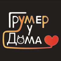 Грумер у дома — груминг пуделя в Тюмени
