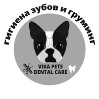 Vika pets dental care — rf-лифтинг в городе Химки