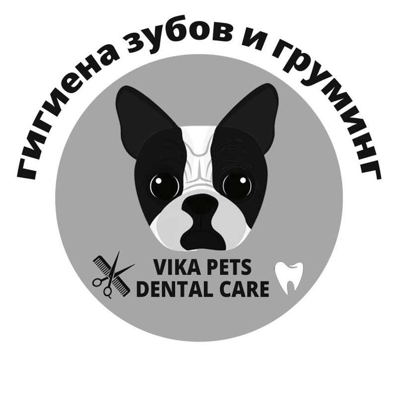 Vika pets dental care