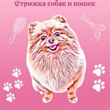 Умка-грум