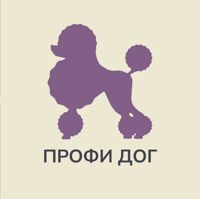 Профи дог — груминг пуделя