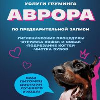 Аврора груминг салон — лазерная эпиляция (пакет линий) в Кемерово