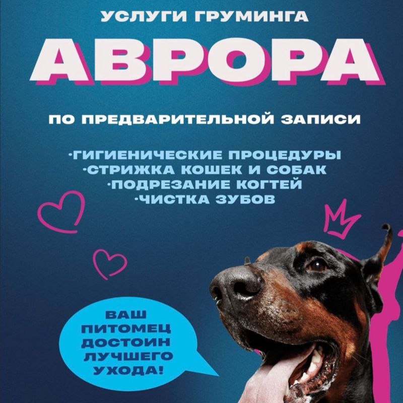 Аврора груминг салон