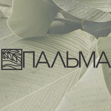 ПАЛЬМА Фитнес-студия
