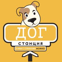 ДогСтанция — груминг пуделя в Красноярске