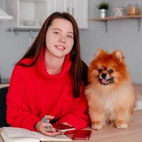 Tikhanova Olga — груминг пуделя в Иваново