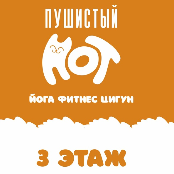 Студия Йоги Пушистый Кот