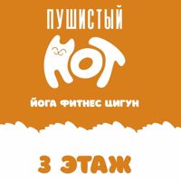 Студия Йоги Пушистый Кот — спа-программа в Сыктывкаре