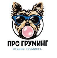 «ПРО ГРУМИНГ» Дашки — груминг пуделя в Рязани