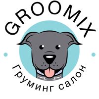 Грумикс — груминг пуделя в Казани