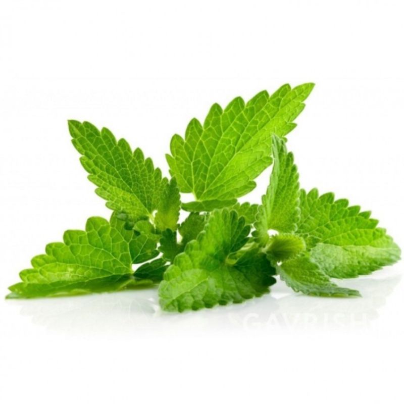 МЯТА