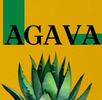 AGAVA — чистка лица в Воронеже