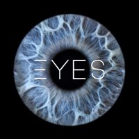 Eyes_vlg — груминг мейн-куна в Волгограде