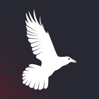VOLKOVA TATTOO STUDIO — татуировка в Тюмени